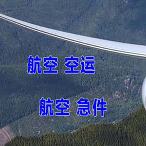 陇南成县航空运输快递-选东方航空和上海航空