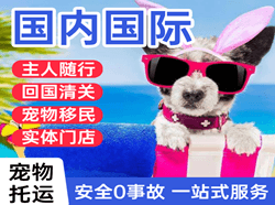 陇南成县航空运输国际宠物托运 【国
